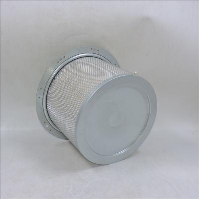 Filtro dell'aria originale AF4874 P143022 LAF3048 Disponibile