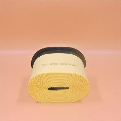 Filtro dell'aria originale P608766 CA4996 2277448 Disponibile