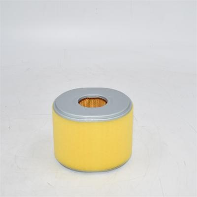 AF25474 Air Filter