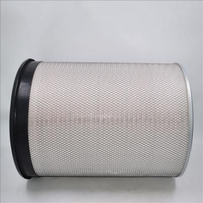 Filtro dell'aria originale AF899 EE-100300 1W3637 581-021-2120 P181040 Disponibile