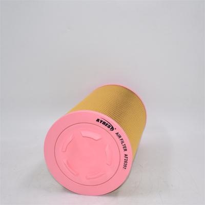 AF26397 Filtro dell'aria equivalente 16138004 2567902 3902783M1 P782104