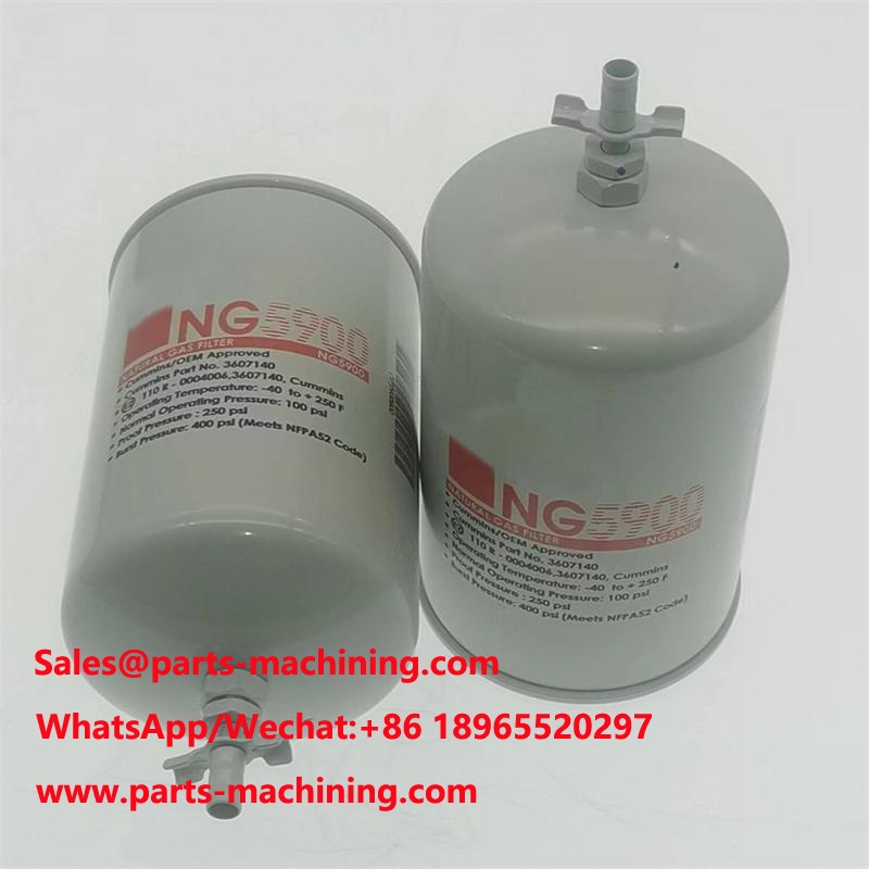 Filtro per gas naturale NG5900 3607140 3606712 5839NG5900
        