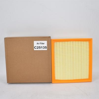 C25135 Air Filter