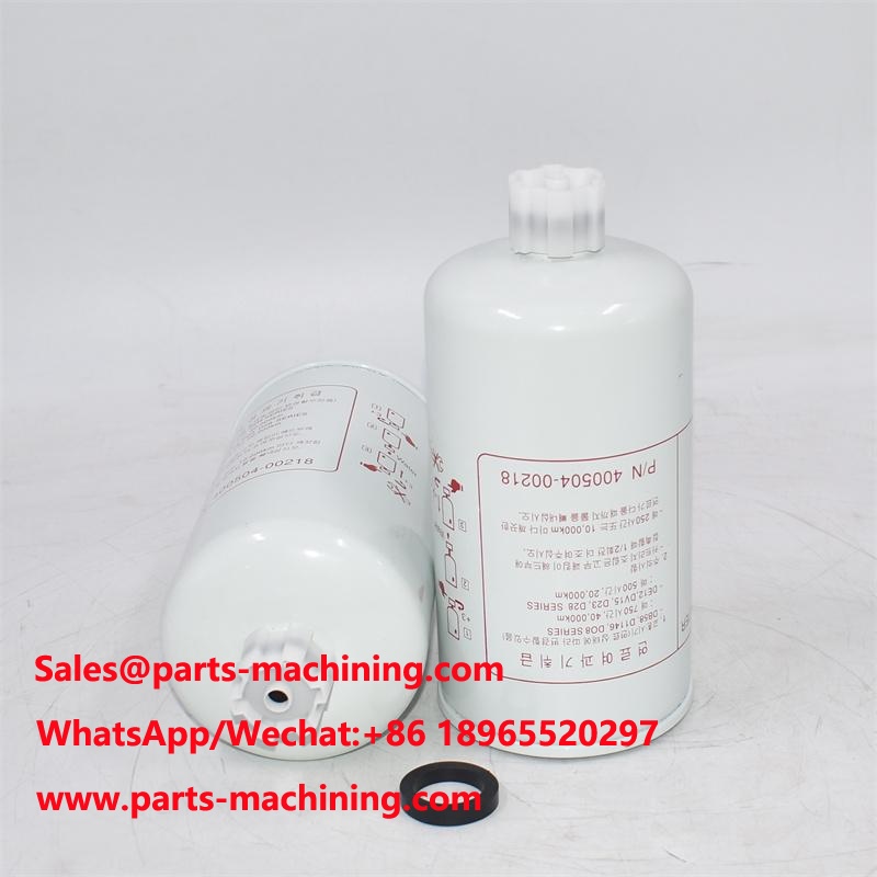 Filtro del carburante 31243001 31701105 Sostituzione
    