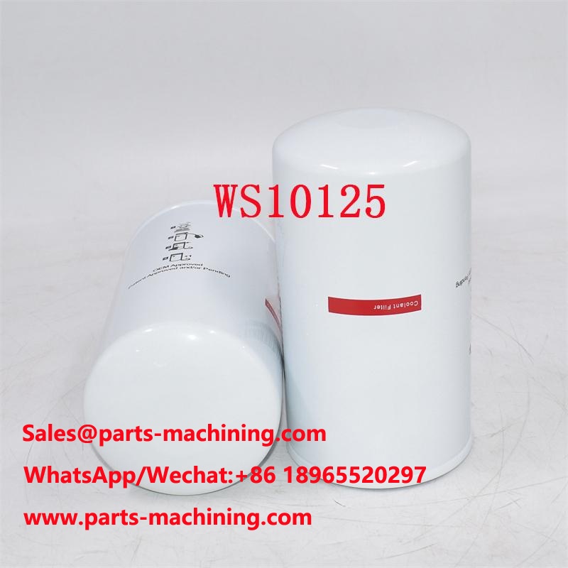 Sostituzione del filtro del liquido refrigerante WS10125 WE2091