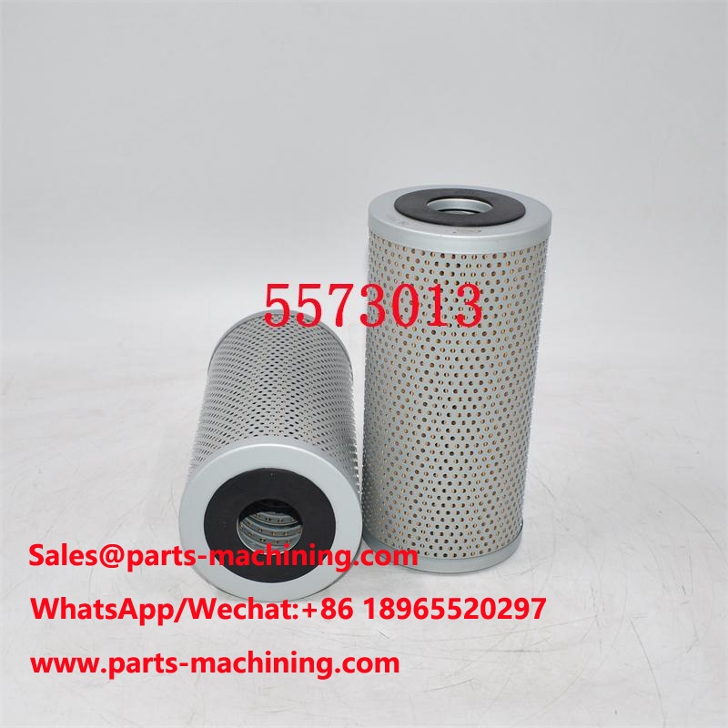 5573013 Filtro olio 25013194 Sostituzione