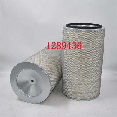 Filtro dell'aria originale 1289436 3344849R1