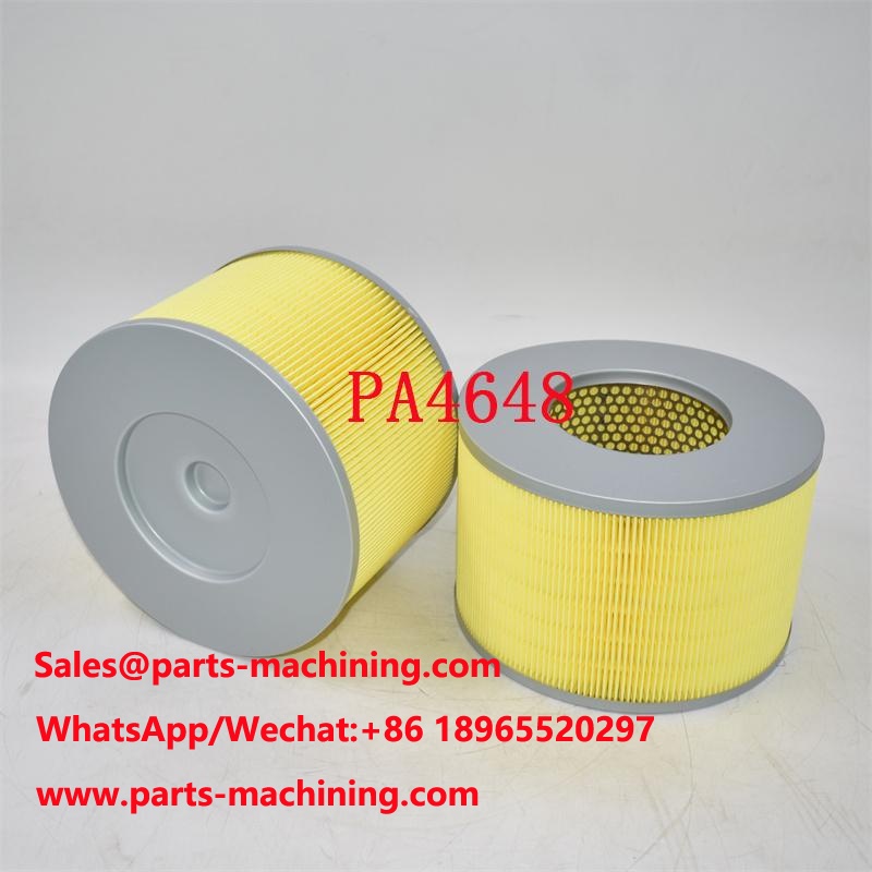 PA4648 Filtro aria SA8041 Produttore
