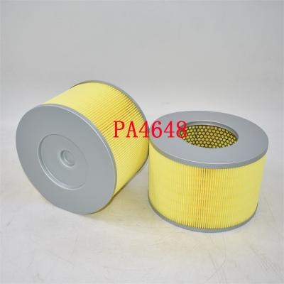 PA4648 Filtro aria SA8041 Produttore