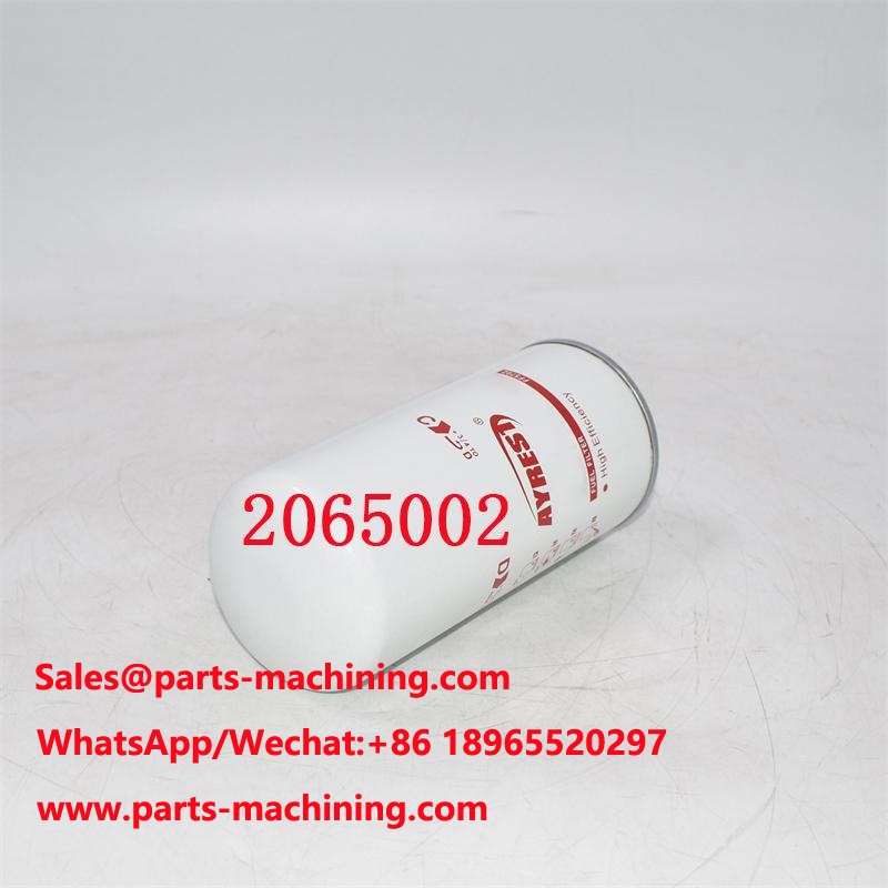 2065002 Filtro carburante 2002041593 Sostituzione