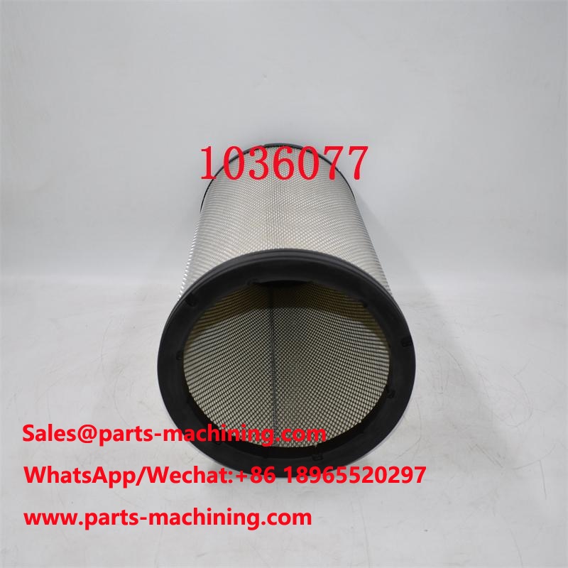Filtro dell'aria originale 1036077 1036-077