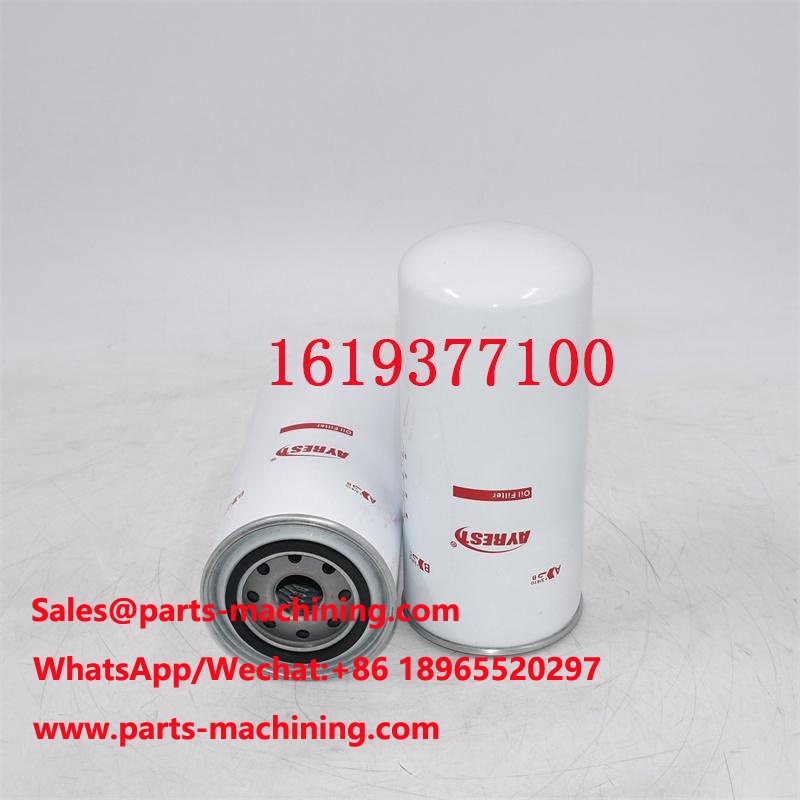 1619377100 Sostituzione filtro olio B262