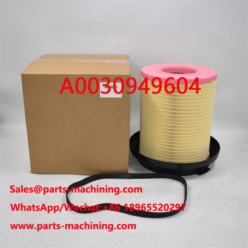 Air Filter A0030949604