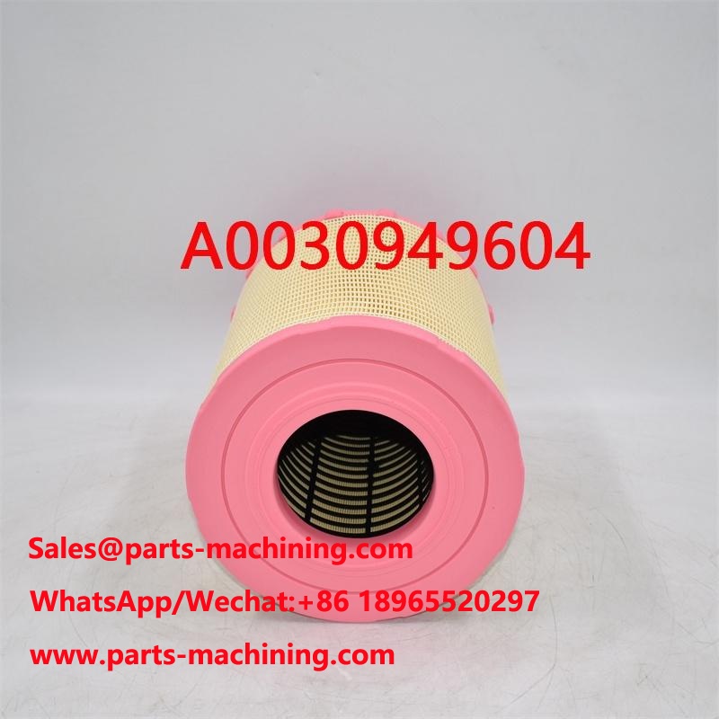 Air Filter A0030949604