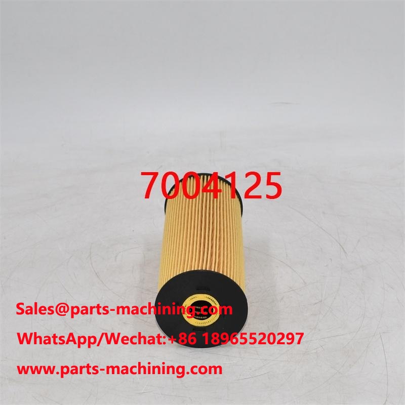 7004125 Filtro olio 560282808 per gru mobile