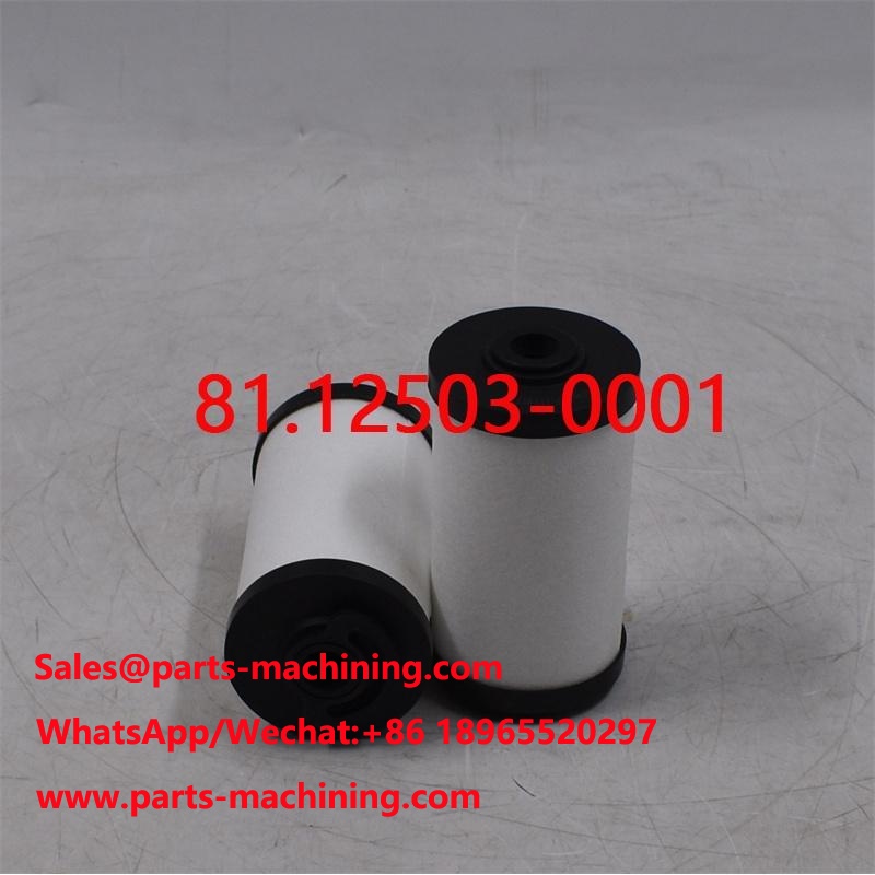 Filtro carburante 81.12503-0001 81.12503-0015 Parti del motore del camion