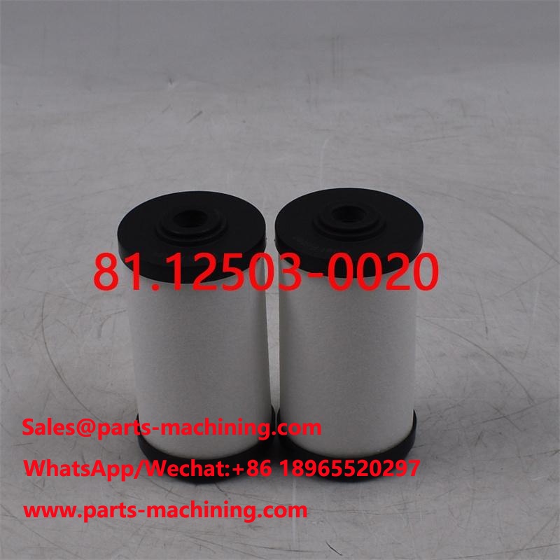 Fuel Filter 81.12503-0020