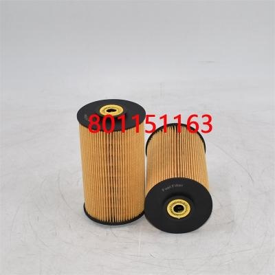 801151163 Filtro carburante 3I-1212 per autobus