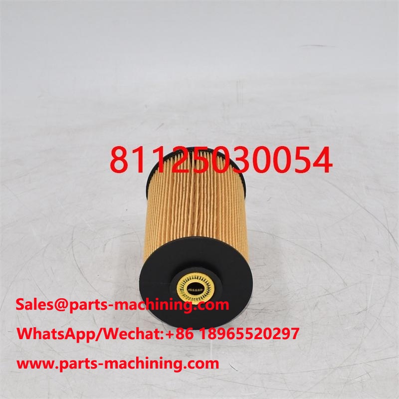 Filtro carburante 81125030054 81125030018