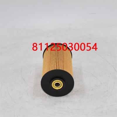 Filtro carburante 81125030054 81125030018