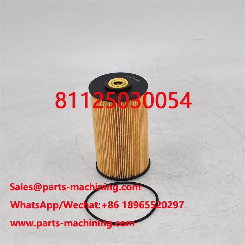 Fuel Filter 81125030054