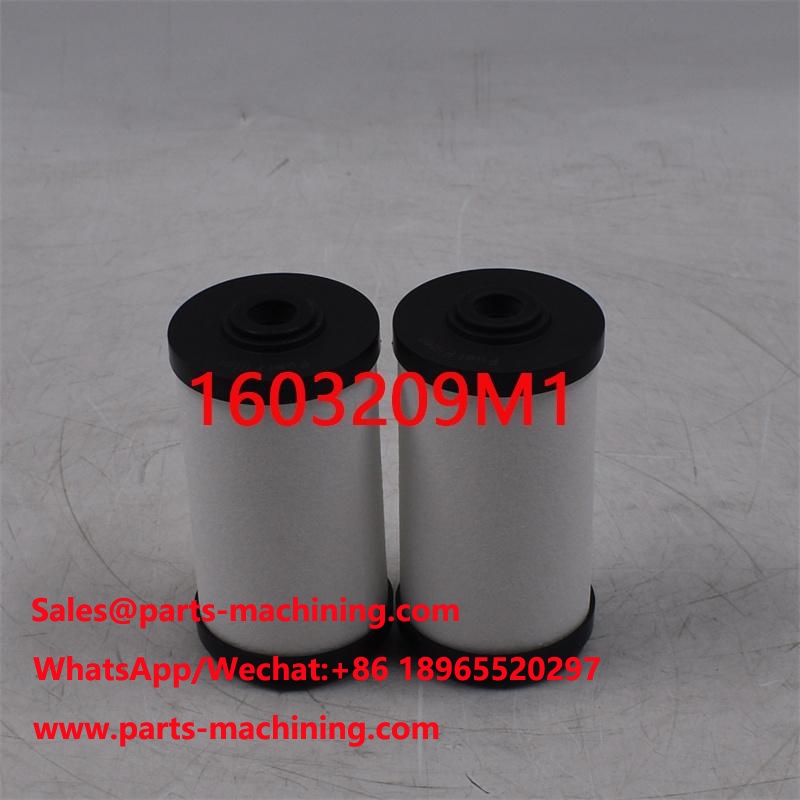 1603209M1 Fuel Filter