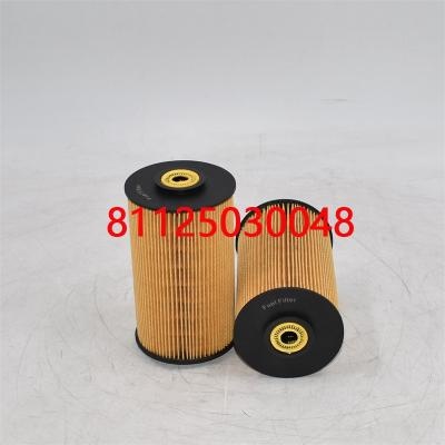 Filtro carburante di alta qualità 81125030048 81125030021