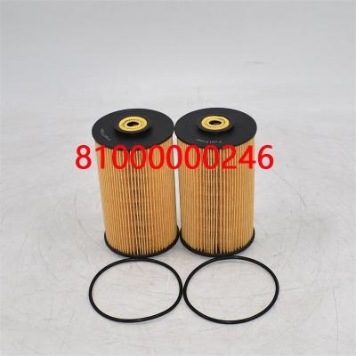 Fuel Filter 81000000246