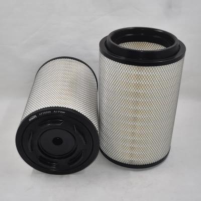 Filtro aria di dimensioni personalizzate AF26569