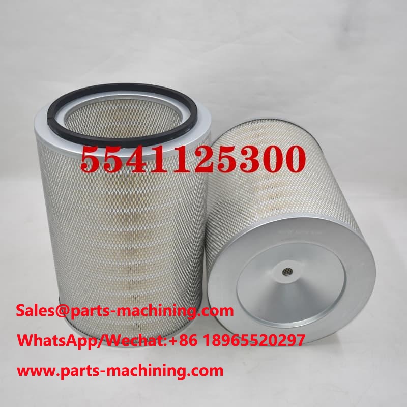 5541125300 Filtro aria OEM ODM