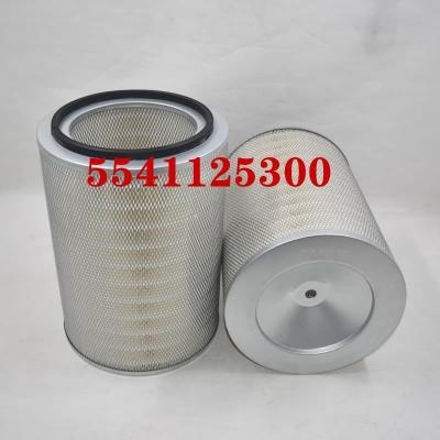 5541125300 Filtro aria OEM ODM