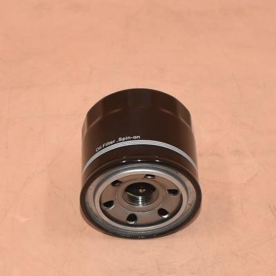 Manutenzione del filtro dell'olio B6YI14302