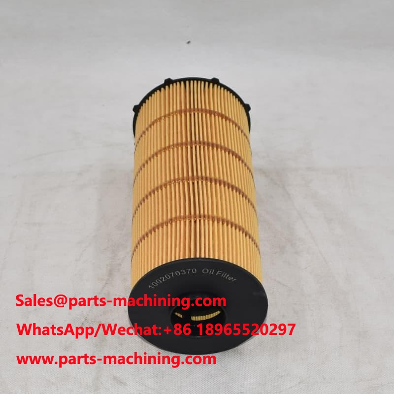 1002070370 Filtro olio per motore diesel
