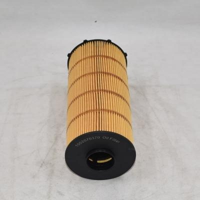 1002070370 Filtro olio per motore diesel